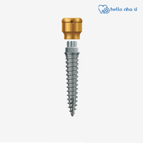 Implant SIC mini